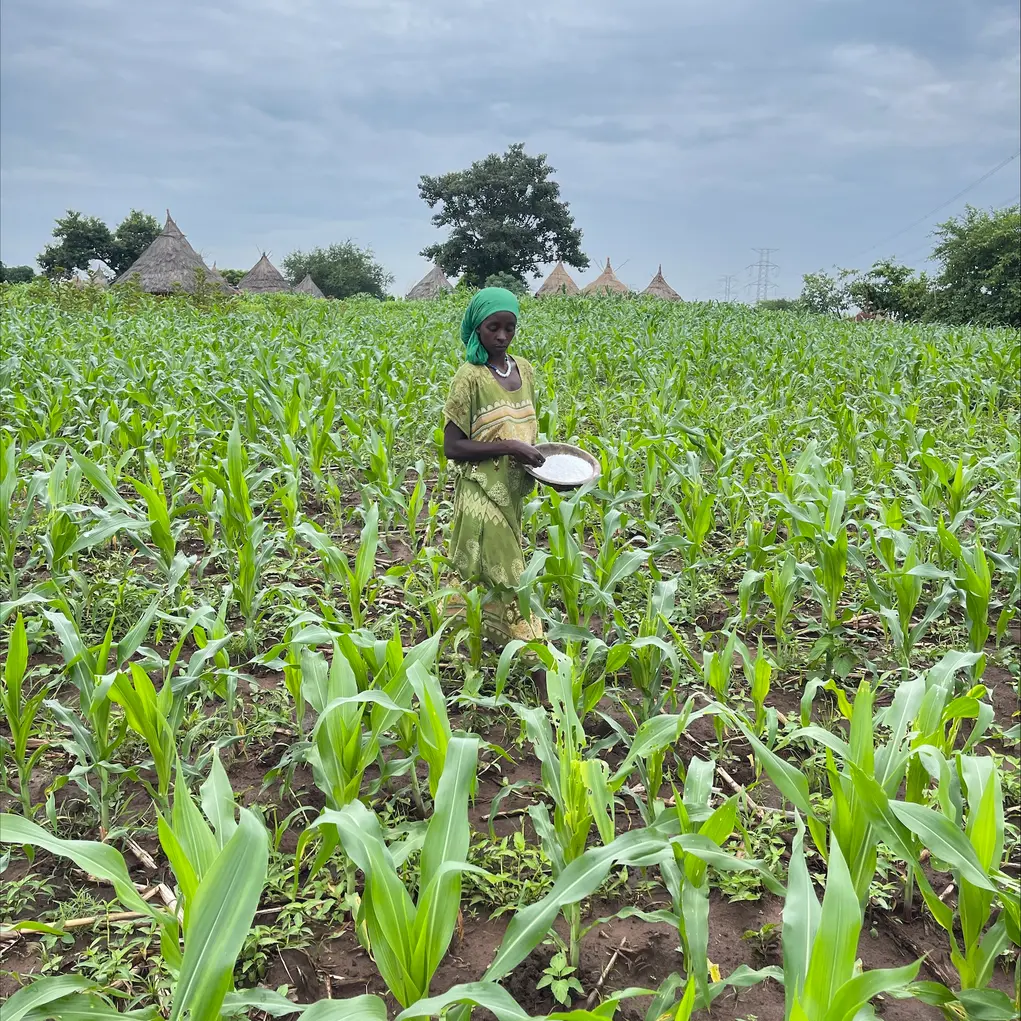 Kabede Geleta farming image