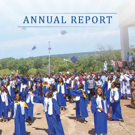 Annual report image